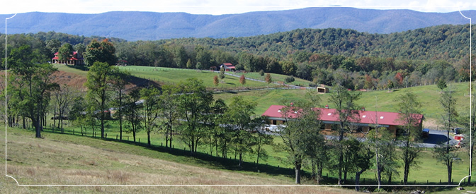 Bull Pasture Mountain Ranch Accommodations